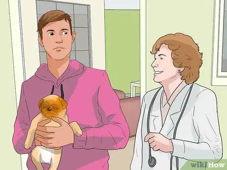 Imagen titulada Treat Eye Problems in Pugs Step 7