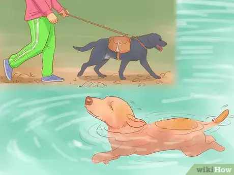 Imagen titulada Introduce a Dog to a Dog Park Step 5