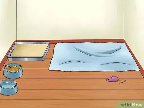 Imagen titulada Help Cats to Sleep at Bedtime Step 8