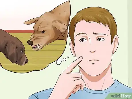Imagen titulada Get Your Puppy to Stop Biting Step 2