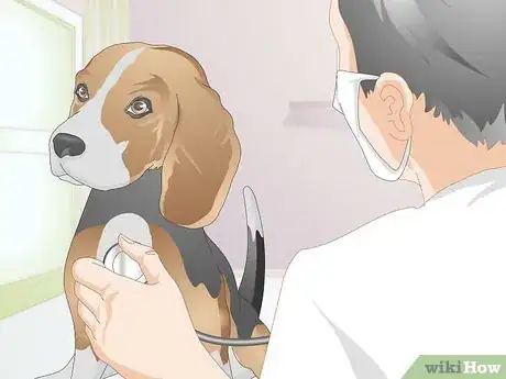 Imagen titulada Feed an Older Dog with Kidney Disease Step 6