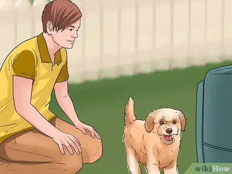 Imagen titulada Train Goldendoodles Step 12