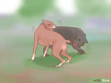 Imagen titulada Introduce a Dog to a Dog Park Step 4