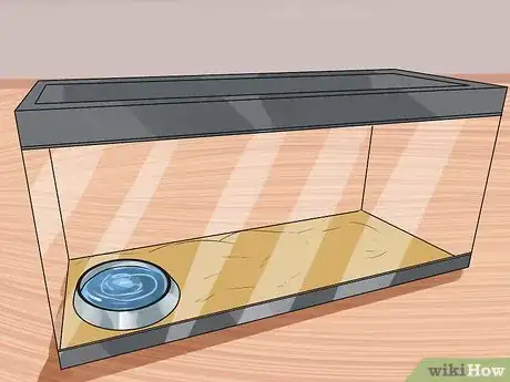 Imagen titulada Take Care of a Land Turtle Step 14