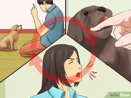 Imagen titulada Get Your Puppy to Stop Biting Step 6