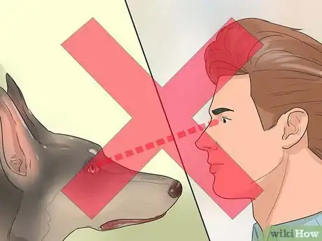 Imagen titulada Catch a Dog Step 6