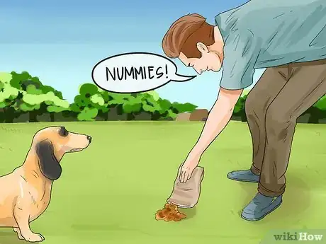 Imagen titulada Catch a Dog Step 5