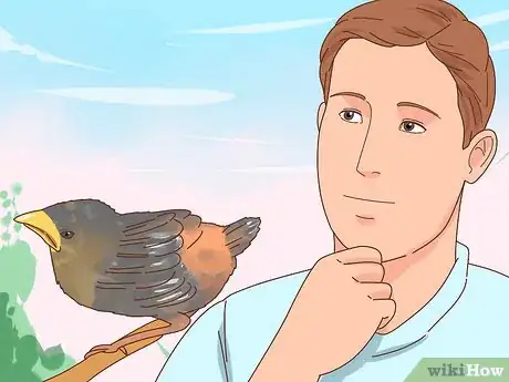 Imagen titulada Identify Baby Birds Step 5