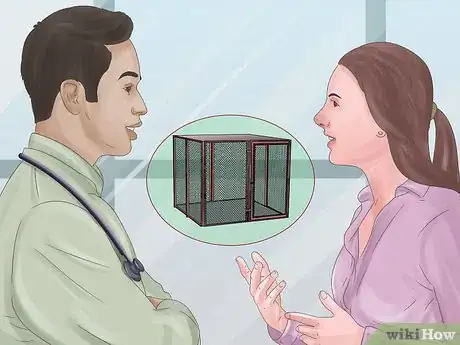 Imagen titulada Treat a Dog for Rabies Step 7