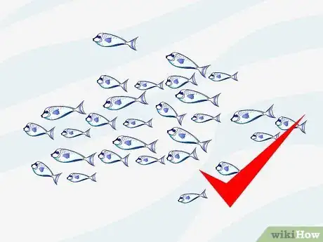 Imagen titulada Make a 5 Gallon Aquarium Interesting Step 13