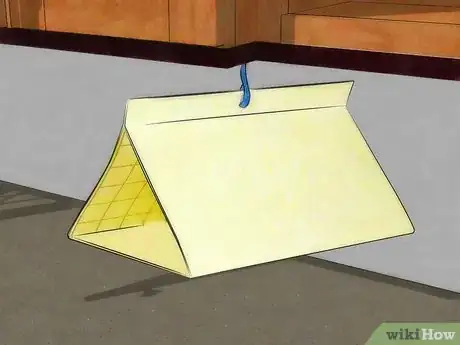Imagen titulada Get Rid of Moths Step 15