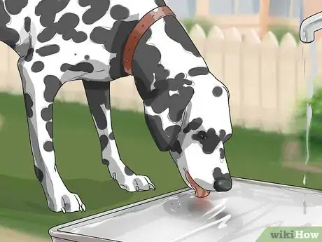 Imagen titulada Treat Neck Pain in Dogs Step 23