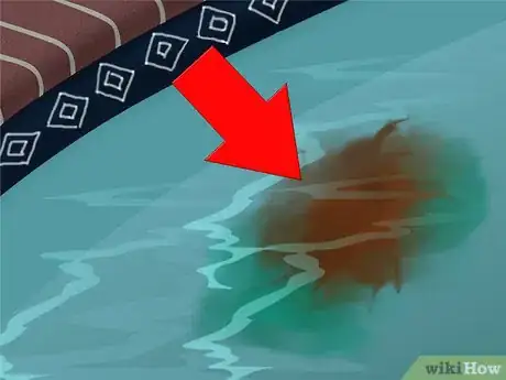 Imagen titulada Diagnose and Remove Any Swimming Pool Stain Step 3