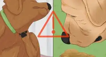 lograr que tu perro deje de dormir en tu cama
