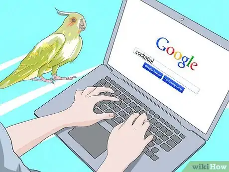 Imagen titulada Take Care of a Cockatiel Step 1