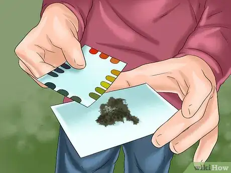 Imagen titulada Get and Maintain a Healthy Lawn Step 17
