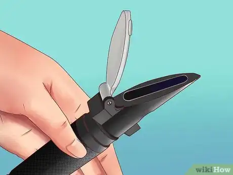 Imagen titulada Measure Salinity Step 3