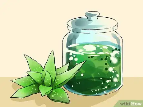 Imagen titulada Extract Aloe Vera Step 7