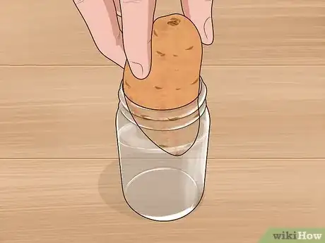 Imagen titulada Grow Sweet Potatoes in Containers Step 3