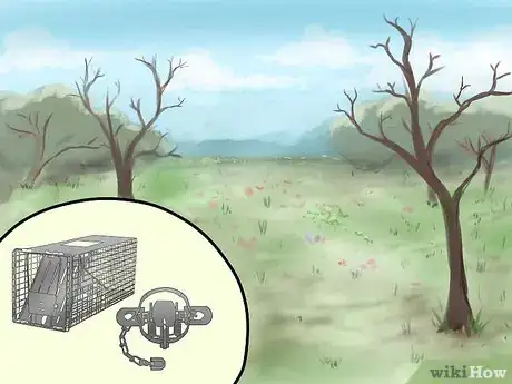Imagen titulada Trap a Groundhog Step 2