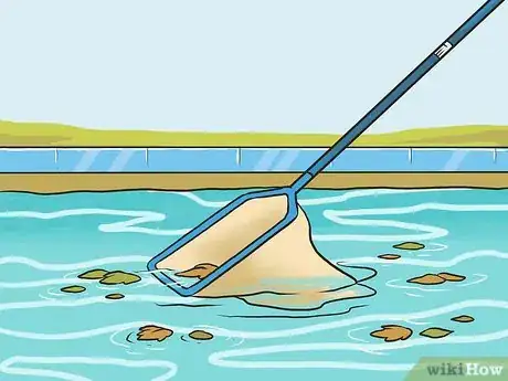 Imagen titulada Clean Your Own Pool Step 2