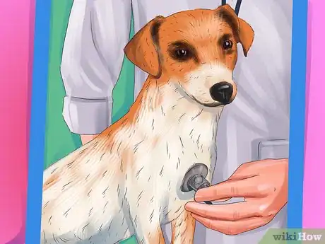 Imagen titulada Care for a Jack Russell Step 10