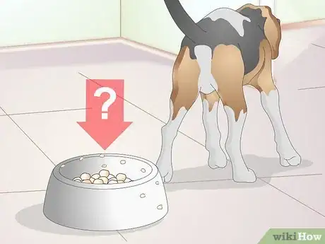 Imagen titulada Feed an Older Dog with Kidney Disease Step 5