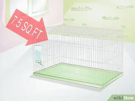 Imagen titulada Exercise Your Guinea Pig Step 1