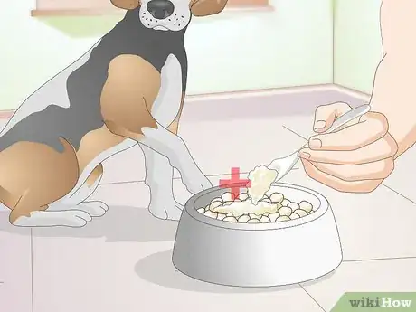 Imagen titulada Feed an Older Dog with Kidney Disease Step 4