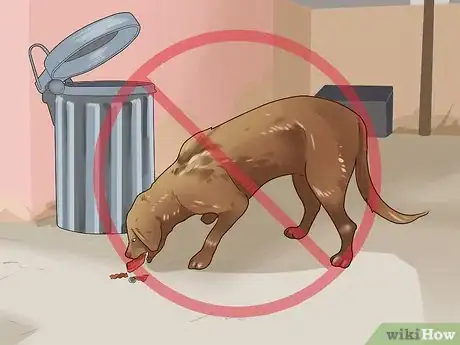 Imagen titulada Diagnose Tapeworms in Dogs Step 9