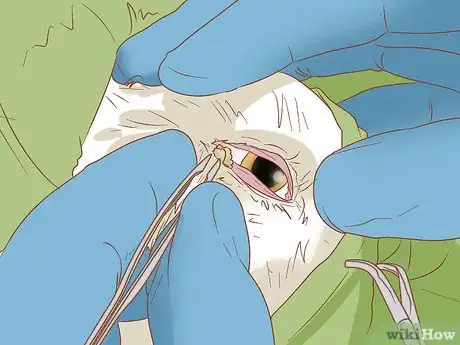 Imagen titulada Remove a Tear Duct Stain from White Dogs Step 14