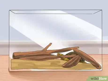 Imagen titulada Take Care of a Land Turtle Step 15