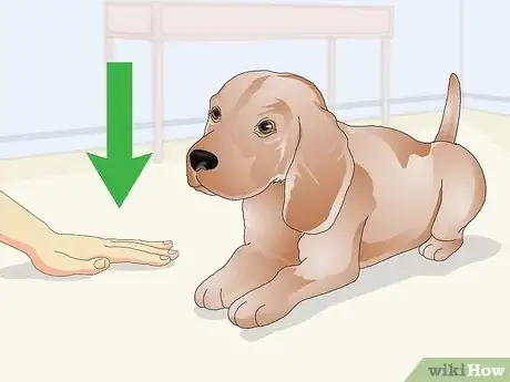 Imagen titulada Administer Shots to Dogs Step 6
