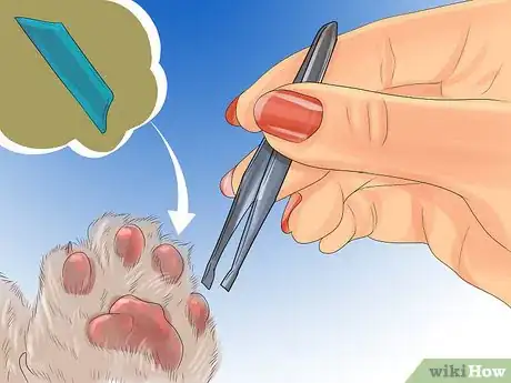 Imagen titulada Remove Debris Stuck in a Cat Paw Step 4