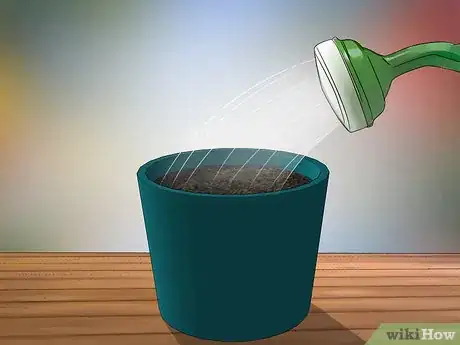 Imagen titulada Grow Jasmine from Cuttings Step 6