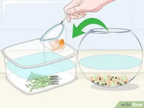 Imagen titulada Clean a Fish Bowl Step 6