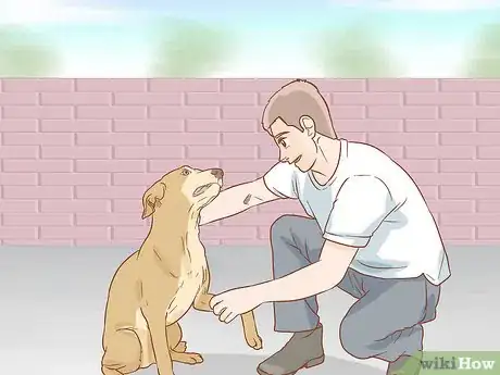 Imagen titulada Help a Dog Recover from a Broken Leg Step 1