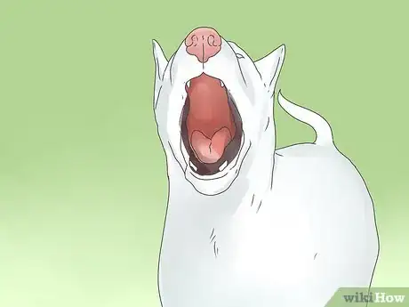 Imagen titulada Spot Dog Seizure Symptoms Step 11