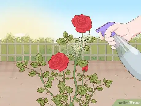 Imagen titulada Get Rid of Aphids on Roses Organically Step 2