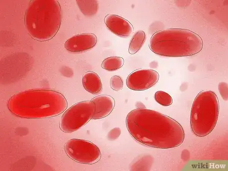 Imagen titulada Give a Shot of Testosterone Step 4Bullet8