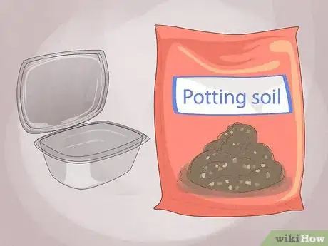 Imagen titulada Grow Microgreens Step 2