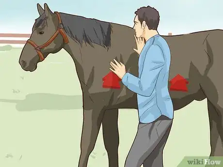 Imagen titulada Break a Horse Step 16