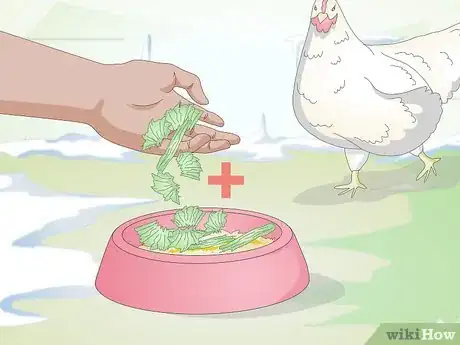 Imagen titulada Feed Chickens during the Winter Step 4