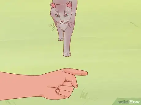 Imagen titulada Greet a Cat Step 7