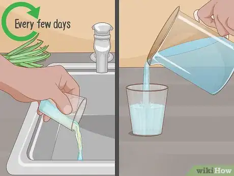 Imagen titulada Grow Onions Indoors Step 18