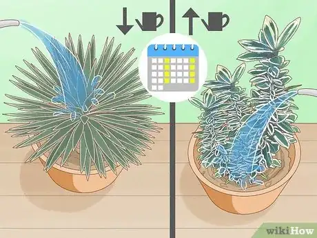 Imagen titulada Keep Variegation in Plants Step 3