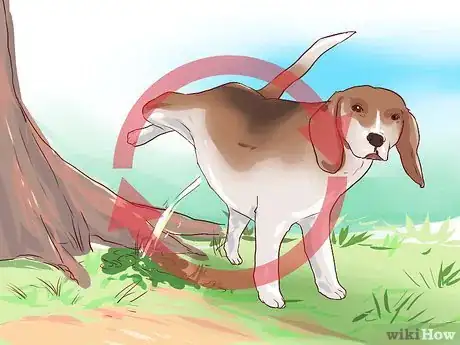 Imagen titulada Train Beagles Step 14