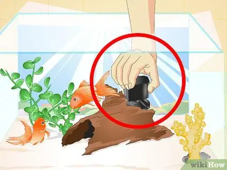 Imagen titulada Make a 5 Gallon Aquarium Interesting Step 19