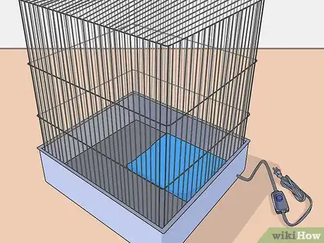 Imagen titulada Care for a Fledgling Pigeon Step 8