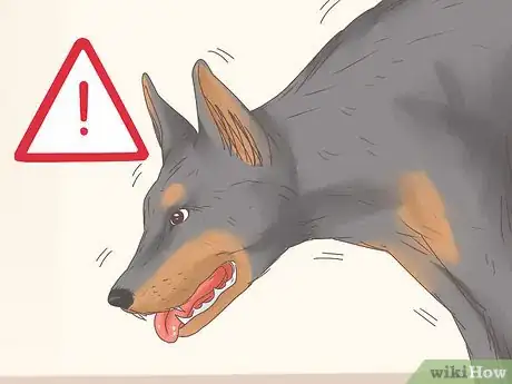 Imagen titulada Understand Your Dog's Body Language Step 14